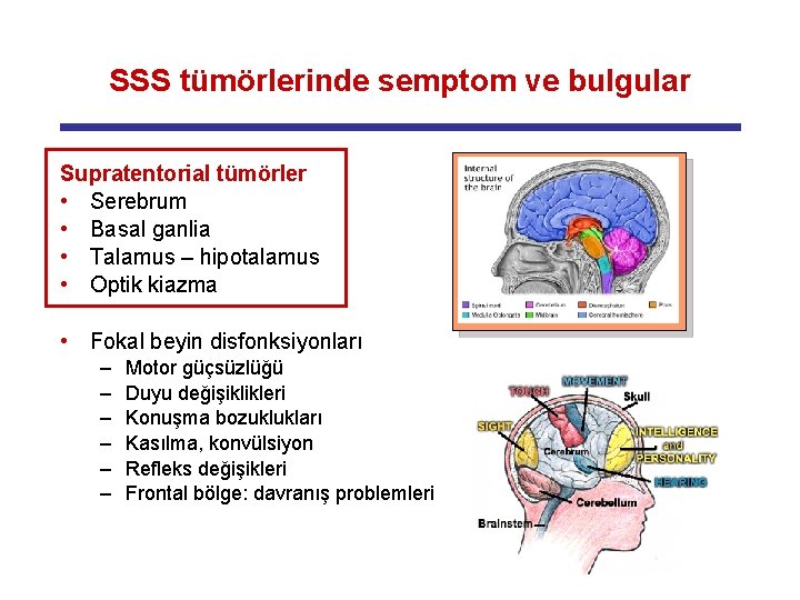 SSS tümörlerinde semptom ve bulgular Supratentorial tümörler • Serebrum • Basal ganlia • Talamus