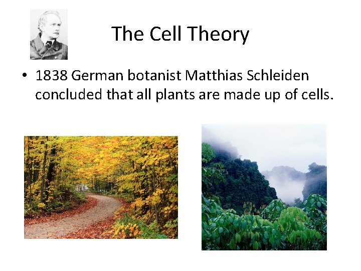 The Cell Theory • 1838 German botanist Matthias Schleiden concluded that all plants are The Cell Theory • 1838 German botanist Matthias Schleiden concluded that all plants are