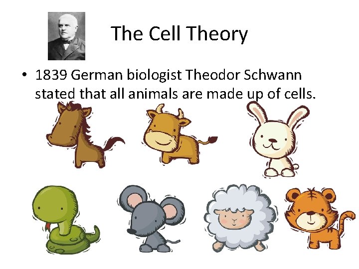 The Cell Theory • 1839 German biologist Theodor Schwann stated that all animals are The Cell Theory • 1839 German biologist Theodor Schwann stated that all animals are