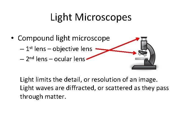 Light Microscopes • Compound light microscope – 1 st lens – objective lens – Light Microscopes • Compound light microscope – 1 st lens – objective lens –