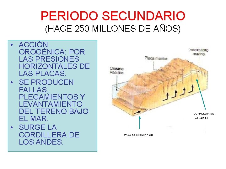 PERIODO SECUNDARIO (HACE 250 MILLONES DE AÑOS) • ACCIÓN OROGÉNICA: POR LAS PRESIONES HORIZONTALES