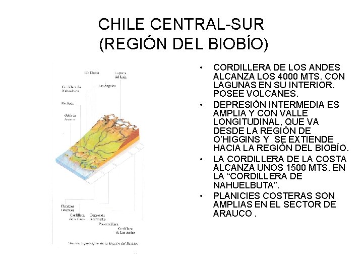 CHILE CENTRAL-SUR (REGIÓN DEL BIOBÍO) • • CORDILLERA DE LOS ANDES ALCANZA LOS 4000