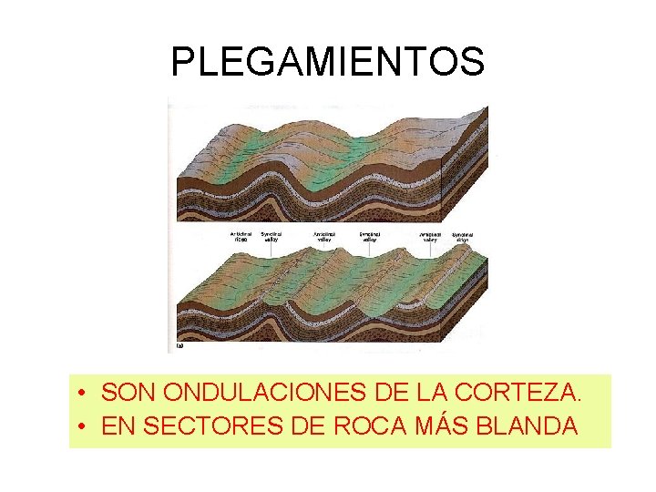 PLEGAMIENTOS • SON ONDULACIONES DE LA CORTEZA. • EN SECTORES DE ROCA MÁS BLANDA