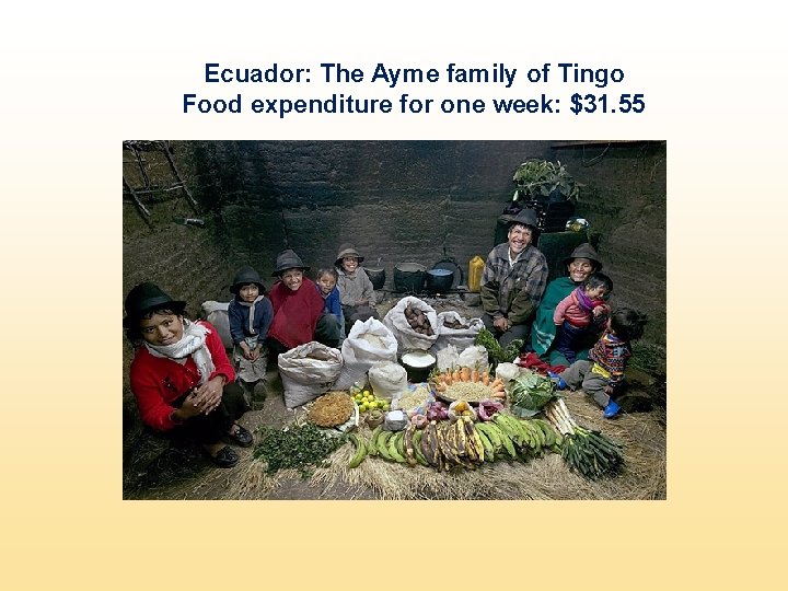 Ecuador: The Ayme family of Tingo Food expenditure for one week: $31. 55 