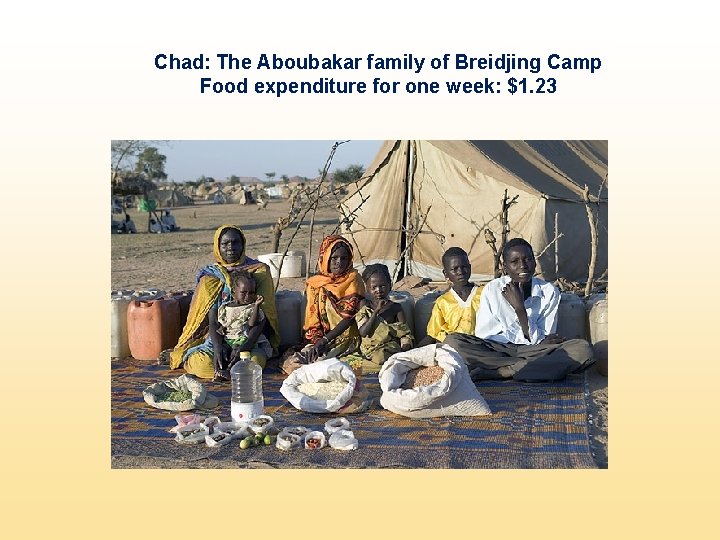 Chad: The Aboubakar family of Breidjing Camp Food expenditure for one week: $1. 23