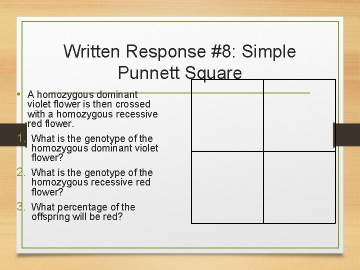 Written Response #8: Simple Punnett Square • A homozygous dominant violet flower is then