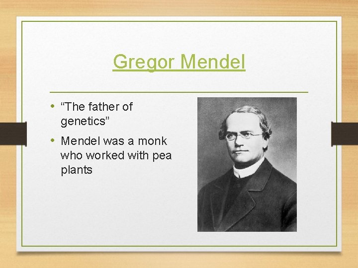 Gregor Mendel • “The father of genetics” • Mendel was a monk who worked