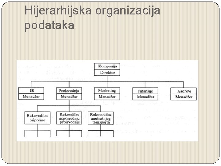 Hijerarhijska organizacija podataka 