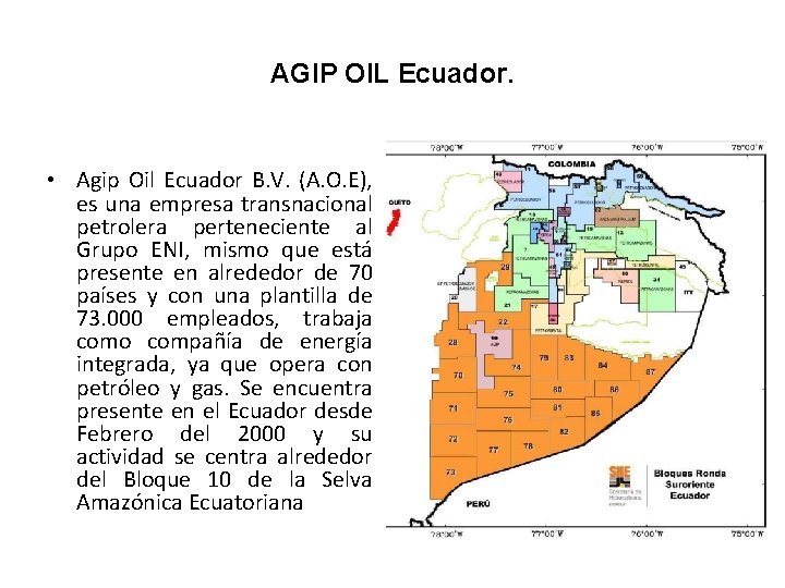 AGIP OIL Ecuador. • Agip Oil Ecuador B. V. (A. O. E), es una