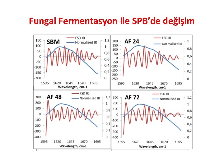 Fungal Fermentasyon ile SPB’de değişim 