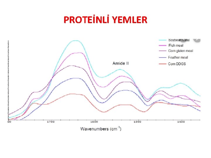 PROTEİNLİ YEMLER 