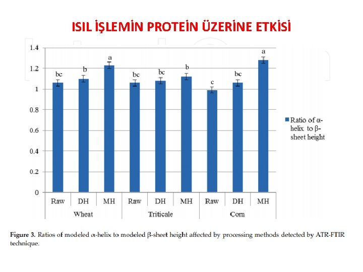 ISIL İŞLEMİN PROTEİN ÜZERİNE ETKİSİ 