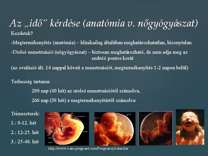 Az „idő” kérdése (anatómia v. nőgyógyászat) Kezdetek? -Megtermékenyítés (anatómia) – klinikailag általában meghatározhatatlan, bizonytalan