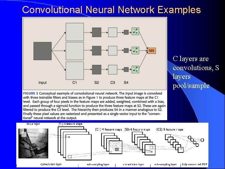 Convolutional Neural Network Examples C layers are convolutions, S layers pool/sample 7 