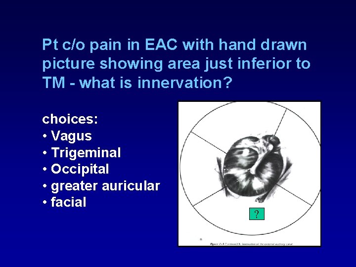 Pt c/o pain in EAC with hand drawn picture showing area just inferior to Pt c/o pain in EAC with hand drawn picture showing area just inferior to