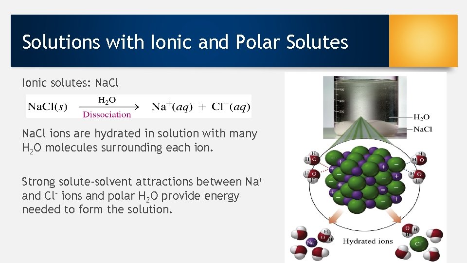 Solutions with Ionic and Polar Solutes Ionic solutes: Na. Cl ions are hydrated in