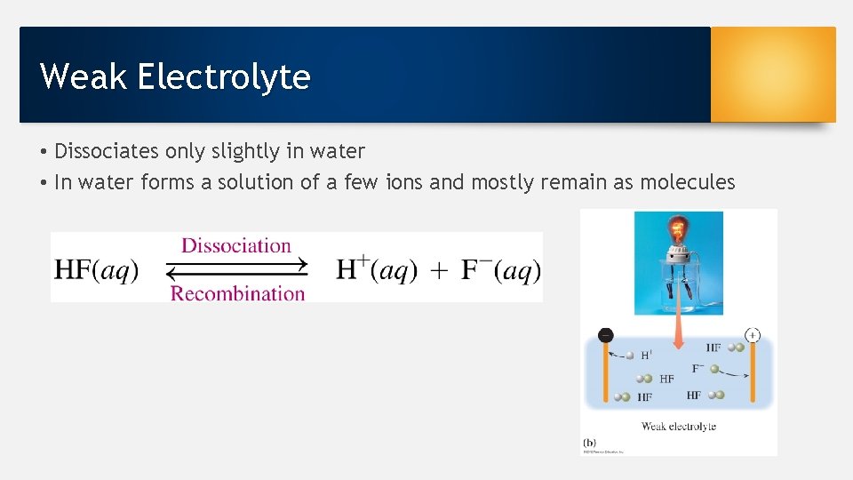 Weak Electrolyte • Dissociates only slightly in water • In water forms a solution