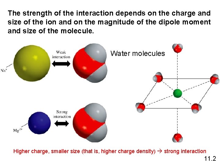 The strength of the interaction depends on the charge and size of the ion