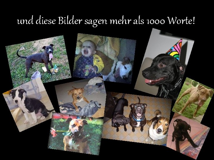 und diese Bilder sagen mehr als 1000 Worte! 