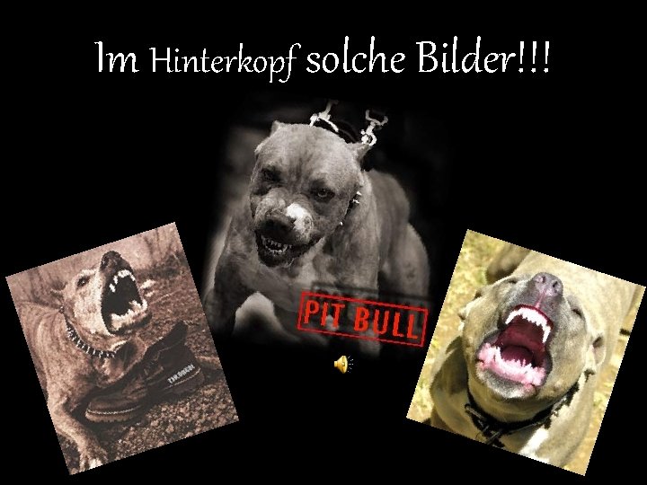 Im Hinterkopf solche Bilder!!! 