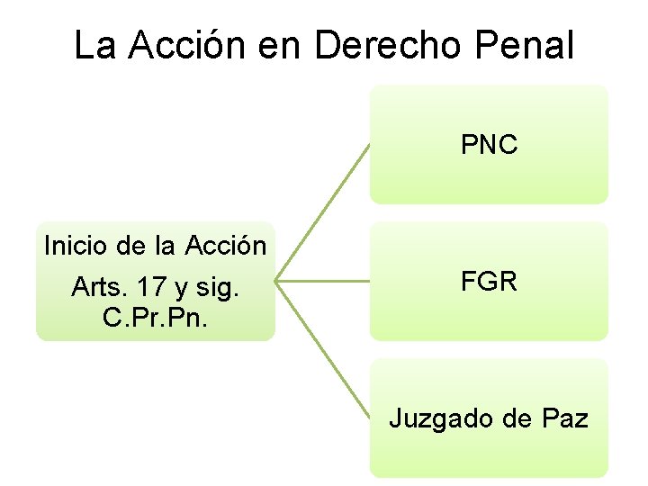 La Acción en Derecho Penal PNC Inicio de la Acción Arts. 17 y sig.