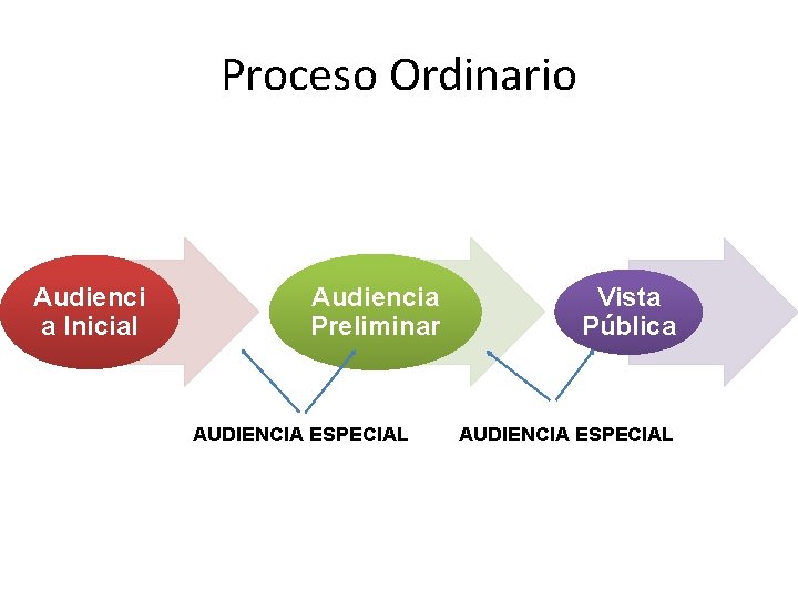 Proceso Ordinario Audienci a Inicial Audiencia Preliminar AUDIENCIA ESPECIAL Vista Pública AUDIENCIA ESPECIAL 