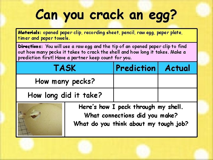 Can you crack an egg? Materials: opened paper clip, recording sheet, pencil, raw egg,