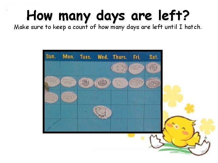 How many days are left? Make sure to keep a count of how many