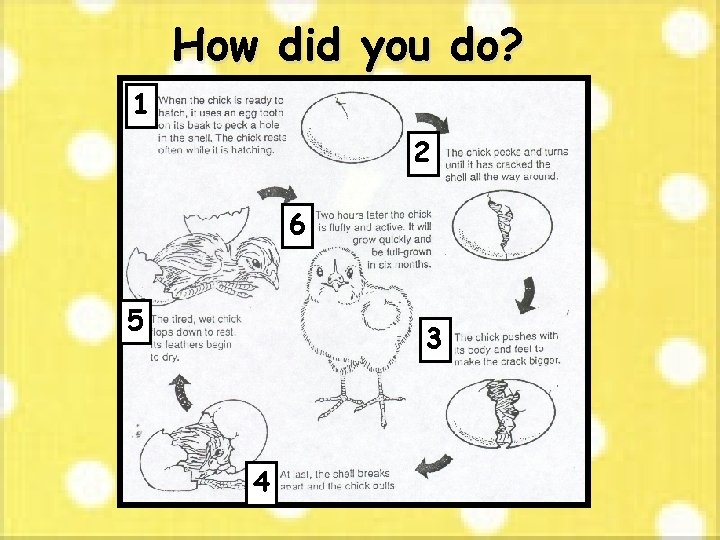 How did you do? 1 2 6 5 3 4 