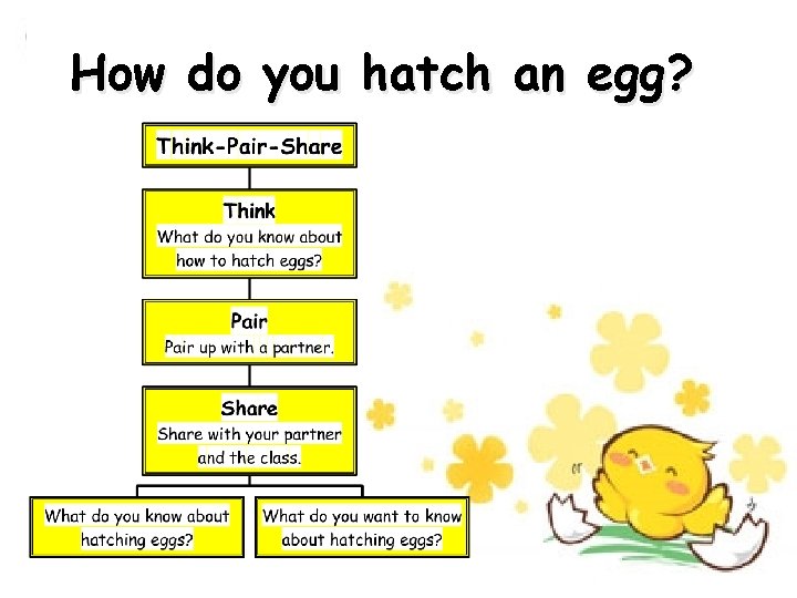 How do you hatch an egg? 