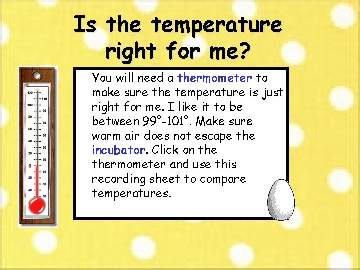 Is the temperature right for me? You will need a thermometer to make sure