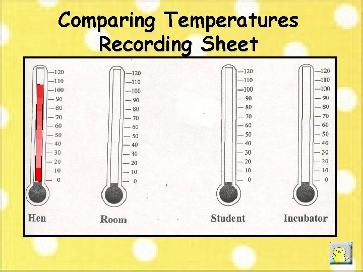 Comparing Temperatures Recording Sheet 