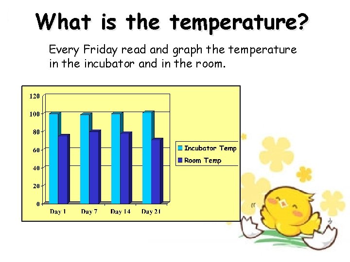 What is the temperature? Every Friday read and graph the temperature in the incubator