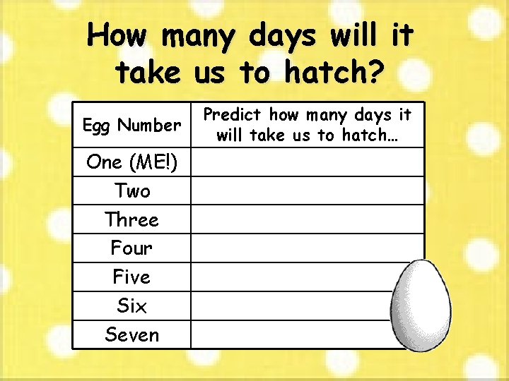 How many days will it take us to hatch? Egg Number One (ME!) Two