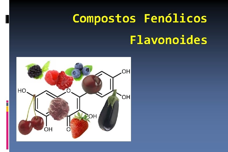 Compostos Fenólicos Flavonoides 