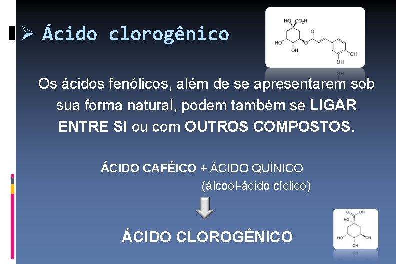  Ácido clorogênico Os ácidos fenólicos, além de se apresentarem sob sua forma natural,