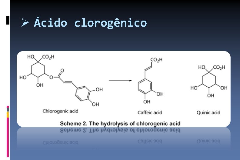  Ácido clorogênico 