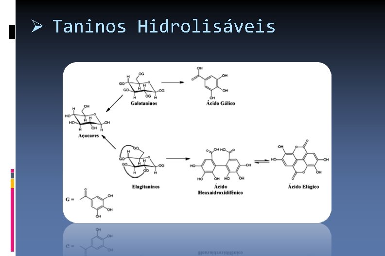  Taninos Hidrolisáveis 