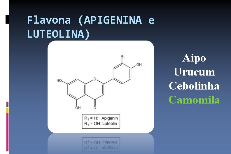 Flavona (APIGENINA e LUTEOLINA) Aipo Urucum Cebolinha Camomila 