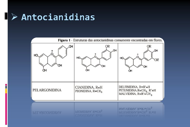  Antocianidinas 