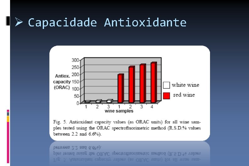  Capacidade Antioxidante 