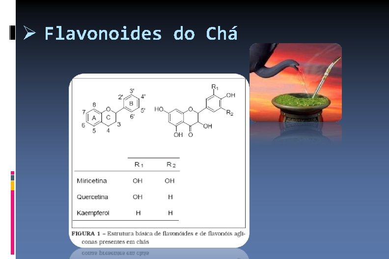  Flavonoides do Chá 
