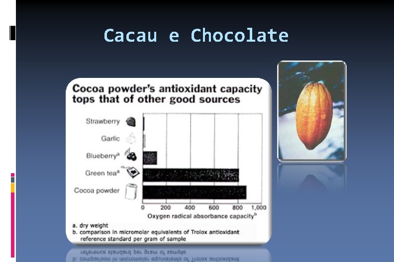 Cacau e Chocolate 