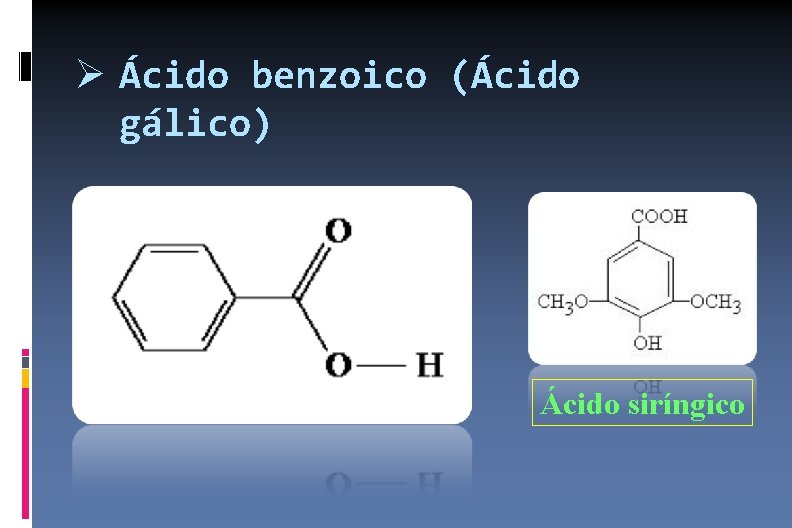  Ácido benzoico (Ácido gálico) Ácido siríngico 