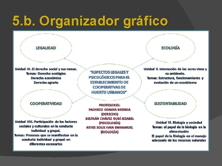 5. b. Organizador gráfico 