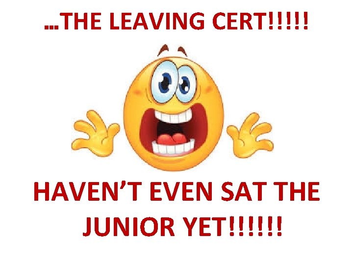 …THE LEAVING CERT!!!!! HAVEN’T EVEN SAT THE JUNIOR YET!!!!!! 