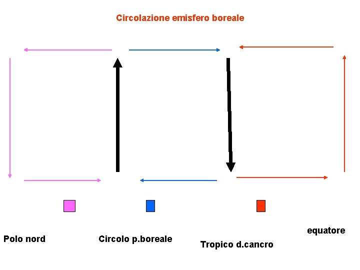 Circolazione emisfero boreale Polo nord Circolo p. boreale equatore Tropico d. cancro 