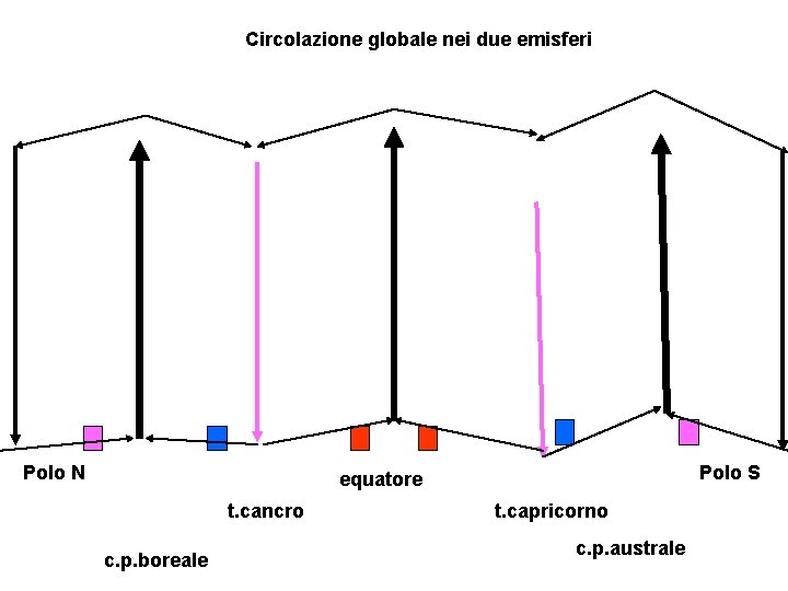 Circolazione globale nei due emisferi Polo N Polo S equatore t. cancro c. p.