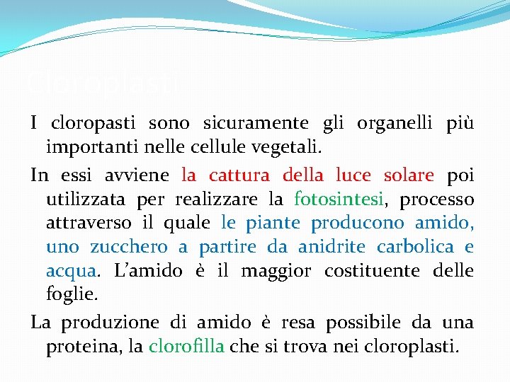 Cloroplasti I cloropasti sono sicuramente gli organelli più importanti nelle cellule vegetali. In essi