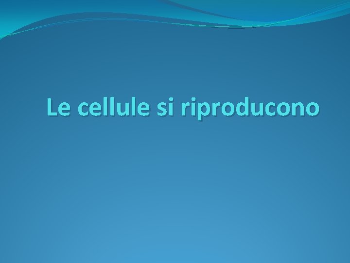 Le cellule si riproducono 